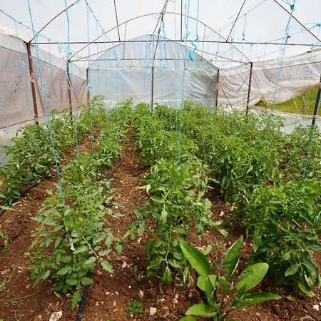 Agroturizem Dr Bizhga Guest house