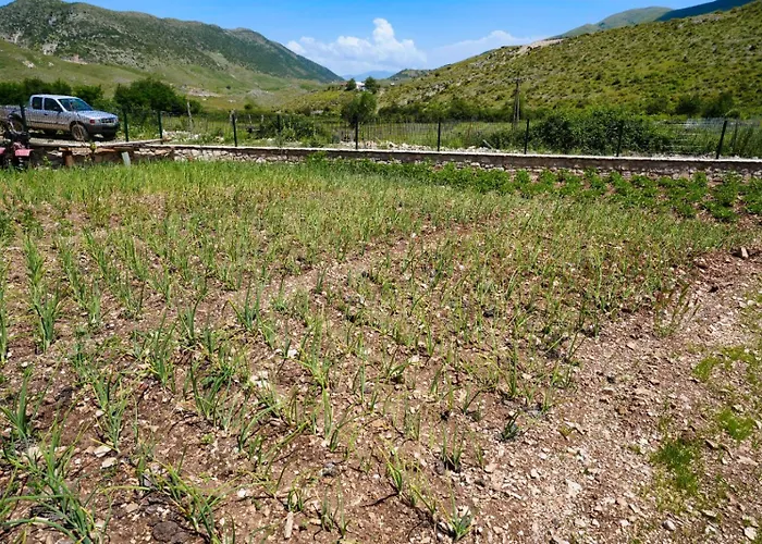 Agroturizem Dr Bizhga *