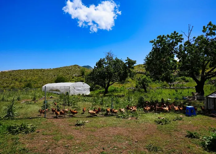 Konukevi Agroturizem Dr Bizhga