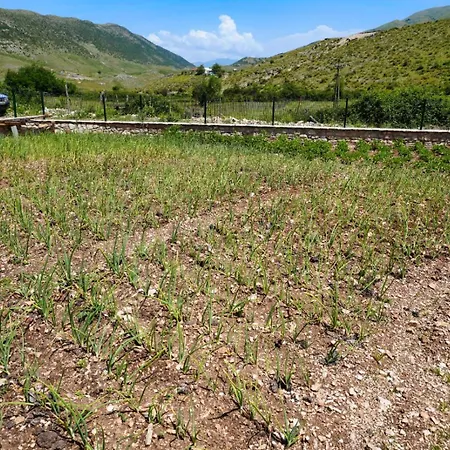 Agroturizem Dr Bizhga *