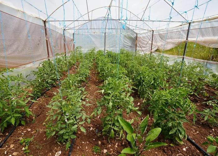 Agroturizem Dr Bizhga Pensjonat